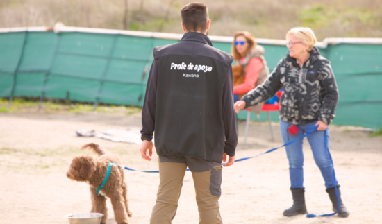 banner cursos caninos de Formación Activa